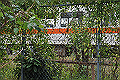 20101017_104633_thumb.png
